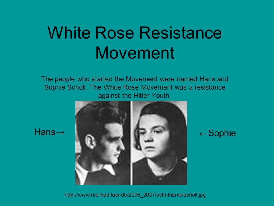The White Rose Revolt: Youth Opposition to Hitler